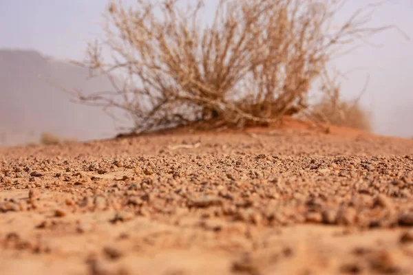 Ürdün Çöl Manzara Görünümünü — Stok fotoğraf