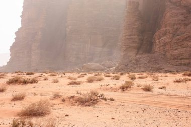 Ürdün çöl manzara görünümünü 
