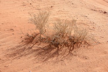 Ürdün çöl manzara görünümünü 