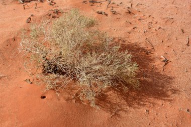 Ürdün çöl manzara görünümünü 