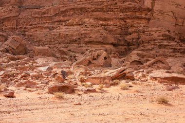 Ürdün çöl manzara görünümünü 