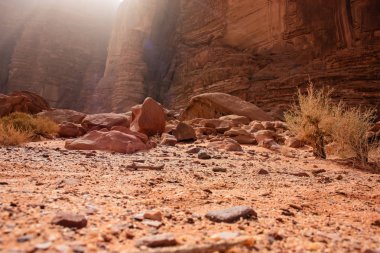 Ürdün çöl manzara görünümünü 