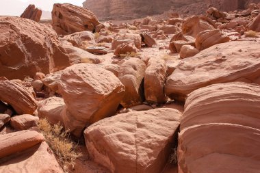 Ürdün çöl manzara görünümünü 