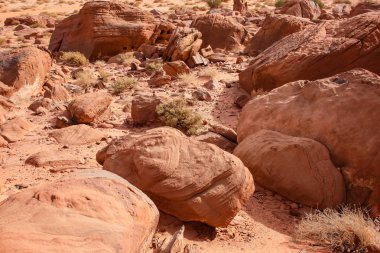 Ürdün çöl manzara görünümünü 