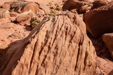 Ürdün çöl manzara görünümünü 