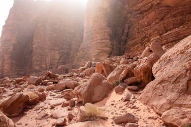 Ürdün çöl manzara görünümünü 