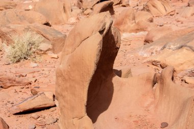 Ürdün çöl manzara görünümünü 