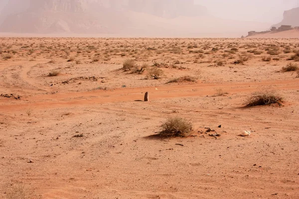 Weergave Van Jordaanse Woestijn Landschap — Stockfoto