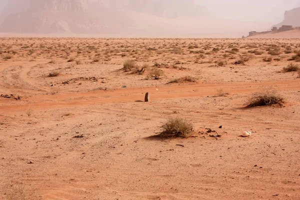 Vista Paisagem Deserto Jordânia — Fotografia de Stock