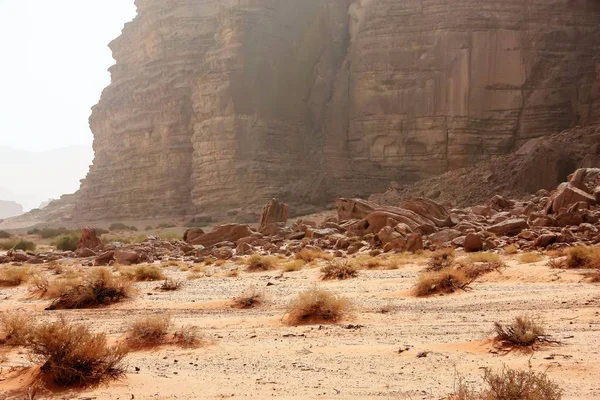 Ürdün çöl manzara görünümünü 