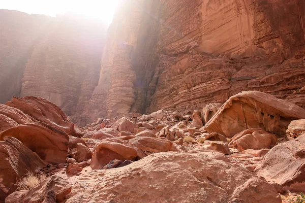 Ürdün çöl manzara görünümünü 