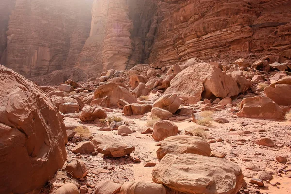 Vista Del Paisaje Desértico Jordano — Foto de Stock