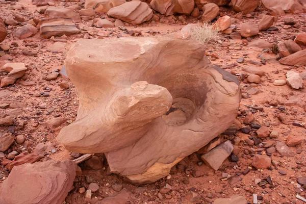 Ürdün çöl manzara görünümünü 