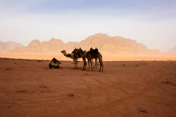 ヨルダンの砂漠の風景のビュー — ストック写真