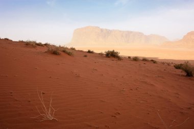 Ürdün çöl manzara görünümünü 