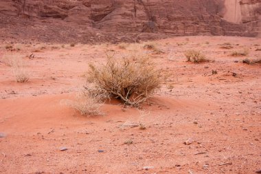 Ürdün çöl manzara görünümünü 