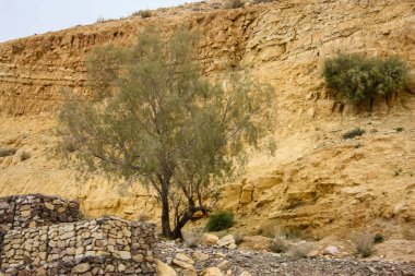 Ürdün kırsal manzara görünümünü