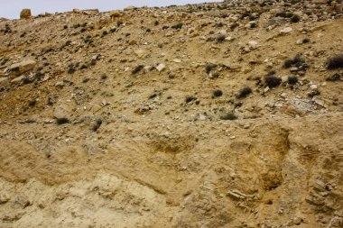 Ürdün kırsal manzara görünümünü