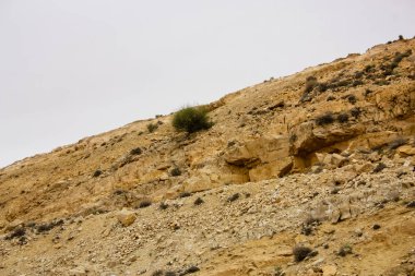 Ürdün kırsal manzara görünümünü