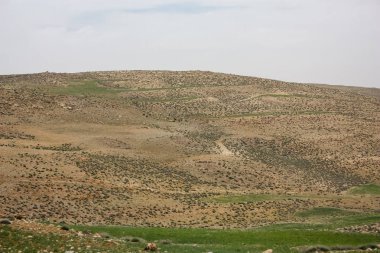 Ürdün kırsal manzara görünümünü