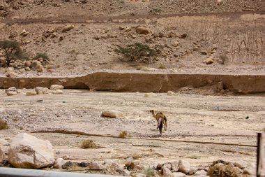 Ürdün kırsal manzara görünümünü