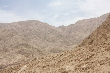 Ürdün kırsal manzara görünümünü