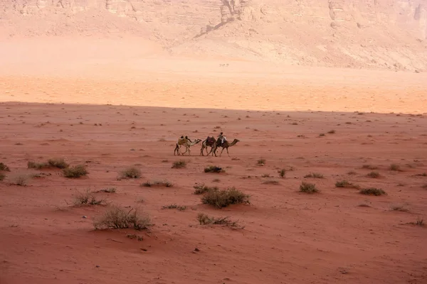 Visa Jordanska Öknen Landskap — Stockfoto