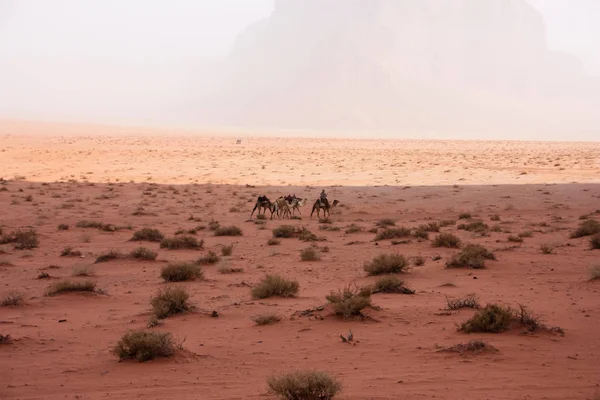 Blick Auf Die Jordanische Wüstenlandschaft — Stockfoto
