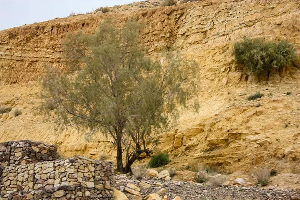Вид Ландшафт Йорданський Сільській Місцевості — стокове фото