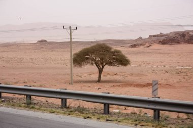 Ürdün kırsal manzara görünümünü