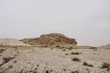 Ürdün kırsal manzara görünümünü