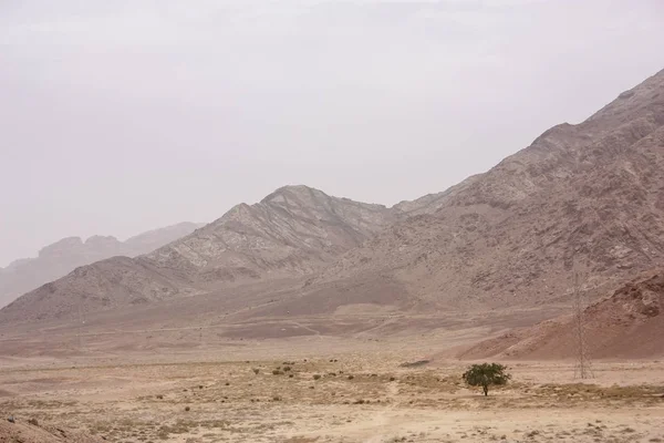 Vista Del Paisaje Rural Jordano —  Fotos de Stock