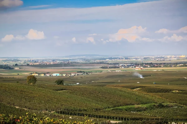 Blick Auf Den Weinberg Von Reims Champagnergebiet Frankreich — Stockfoto