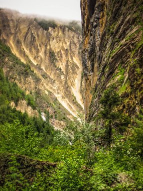 Manzara ve doğa Annapurna koruma alanında Nepal