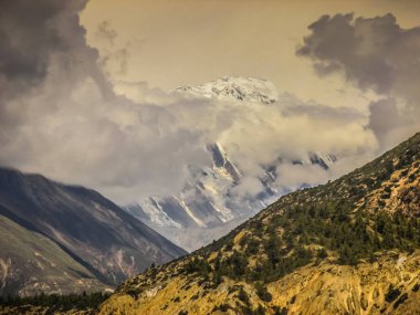 Manzara ve doğa Annapurna koruma alanında Nepal