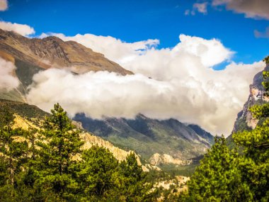 Manzara ve doğa Annapurna koruma alanında Nepal