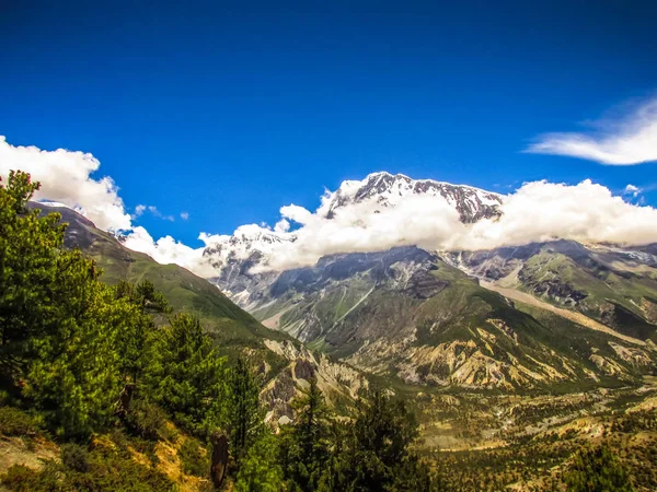 Paesaggio Natura Nella Zona Conservazione Dell Annapurna Nepal — Foto Stock
