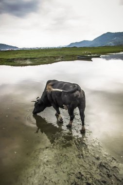 Manzara ve doğa Annapurna koruma alanında Nepal
