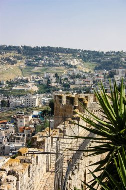 İsrail 'in Renkleri