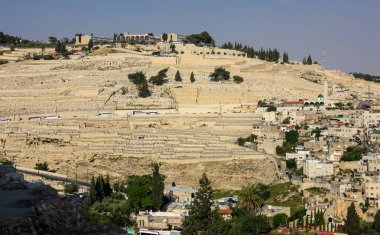İsrail 'in Renkleri