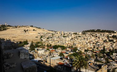 İsrail 'in Renkleri