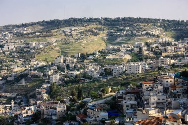 İsrail 'in Renkleri