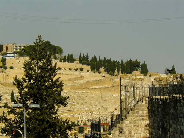 Kleuren van Israël — Stockfoto