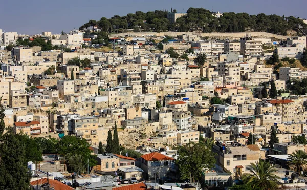 Colores de Israel — Foto de Stock