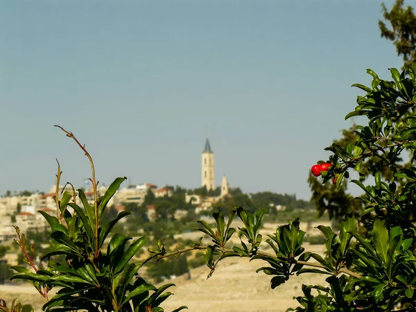 Kleuren van Israël — Stockfoto