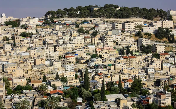 Colores de Israel — Foto de Stock