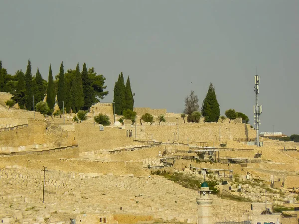 Colors of Israel — Stock Photo, Image