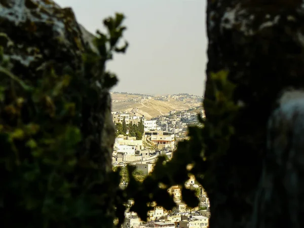 Colors of Israel — Stock Photo, Image