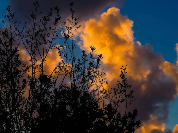 Farben des Israel — Stockfoto