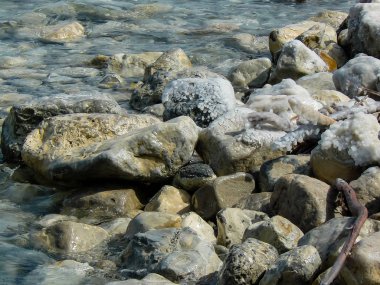 İsrail 'in Renkleri